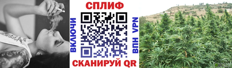 Какие есть наркотики Льгов ГАШ  КОКАИН  Галлюциногенные грибы  Меф  Лсд 25  APVP 