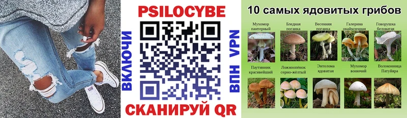 Галлюциногенные грибы Cubensis  Льгов 