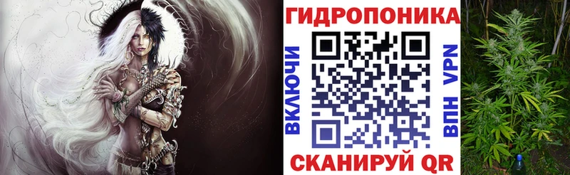 Бошки Шишки сатива Льгов
